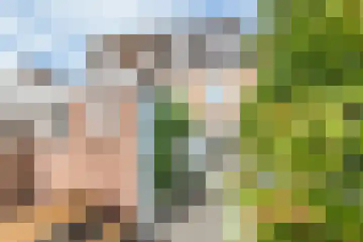 Valkenierslaan 236 Breda thumbnail 36