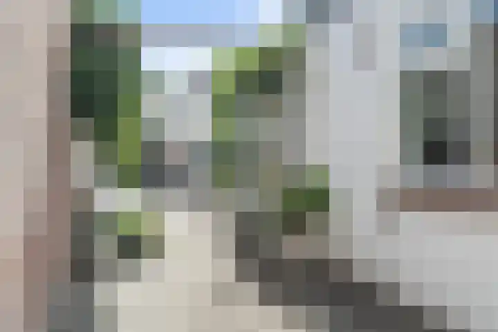 Valkenierslaan 236 Breda thumbnail 37