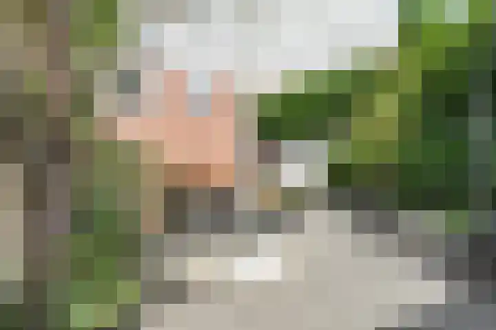 Valkenierslaan 236 Breda thumbnail 38