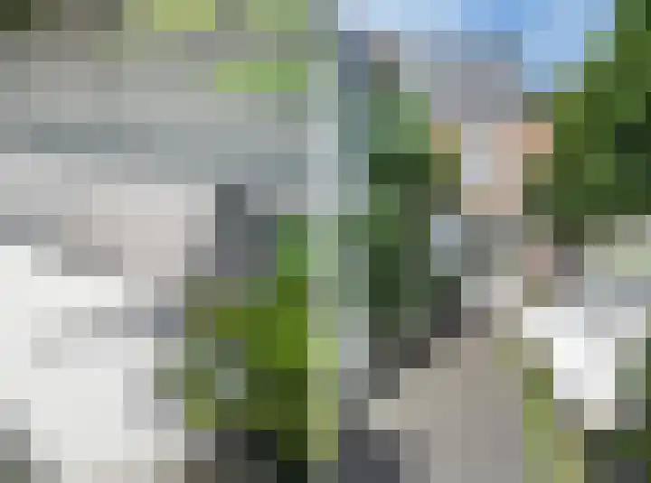 Valkenierslaan 236 Breda thumbnail 39
