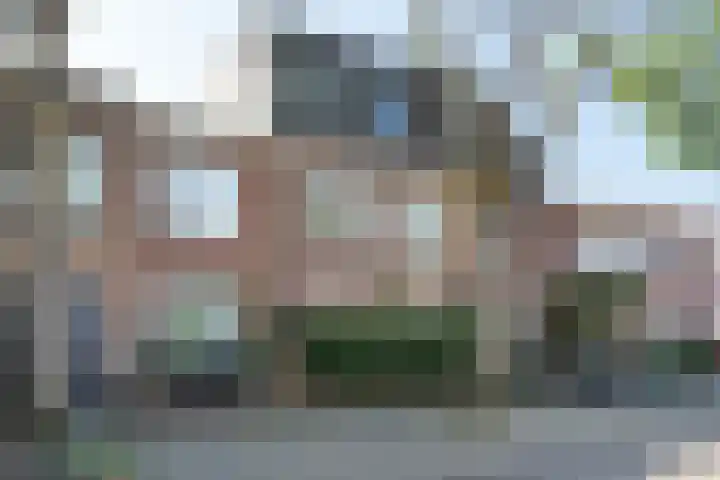 Valkenierslaan 236 Breda thumbnail 41