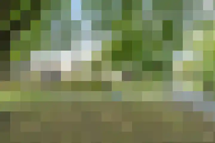 Valkenierslaan 236 Breda thumbnail 44