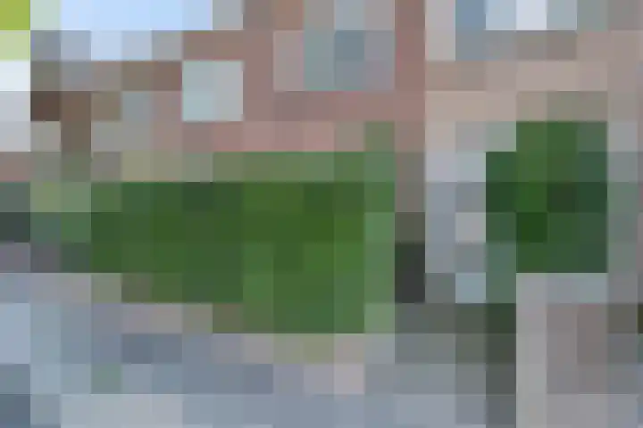 Valkenierslaan 236 Breda thumbnail 5
