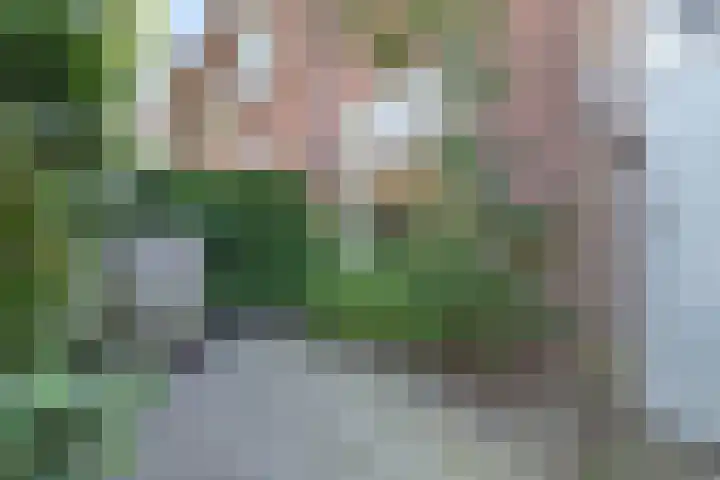 Valkenierslaan 236 Breda thumbnail 6