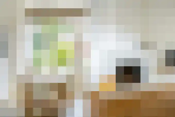 Valkenierslaan 240 Breda thumbnail 17