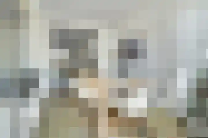 Valkenierslaan 240 Breda thumbnail 20