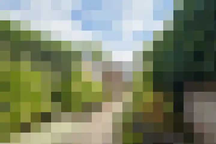 Valkenierslaan 240 Breda thumbnail 26