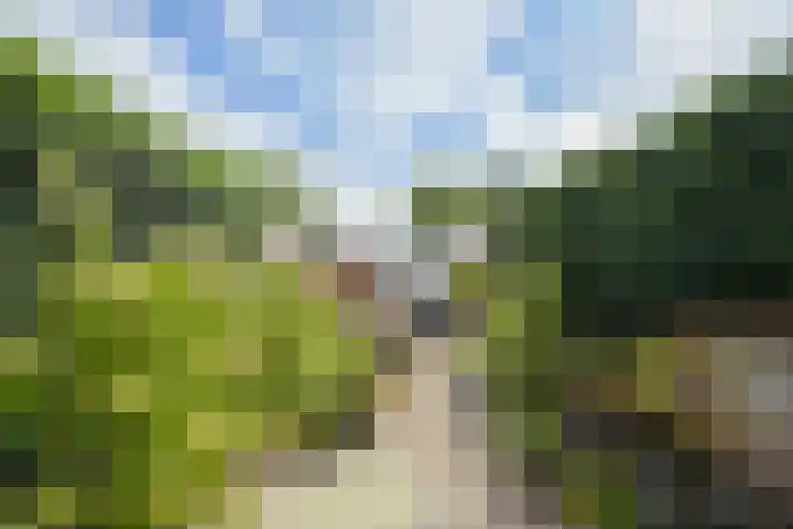 Valkenierslaan 240 Breda thumbnail 27