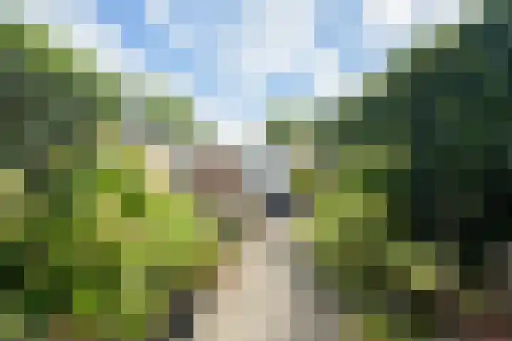 Valkenierslaan 240 Breda thumbnail 28