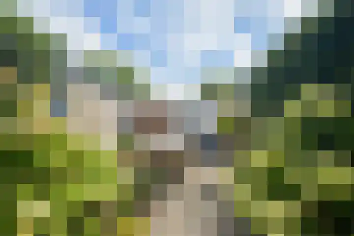 Valkenierslaan 240 Breda thumbnail 29