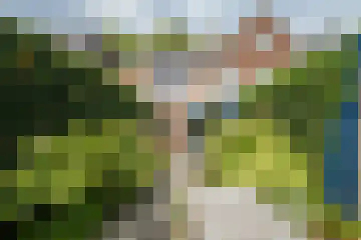 Valkenierslaan 240 Breda thumbnail 30