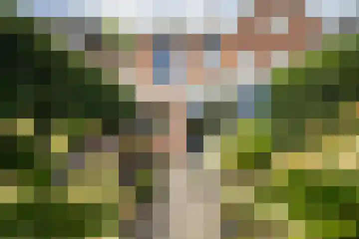 Valkenierslaan 240 Breda thumbnail 31