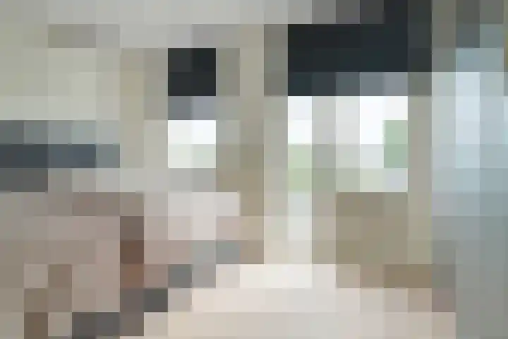 Valkenierslaan 240 Breda thumbnail 35