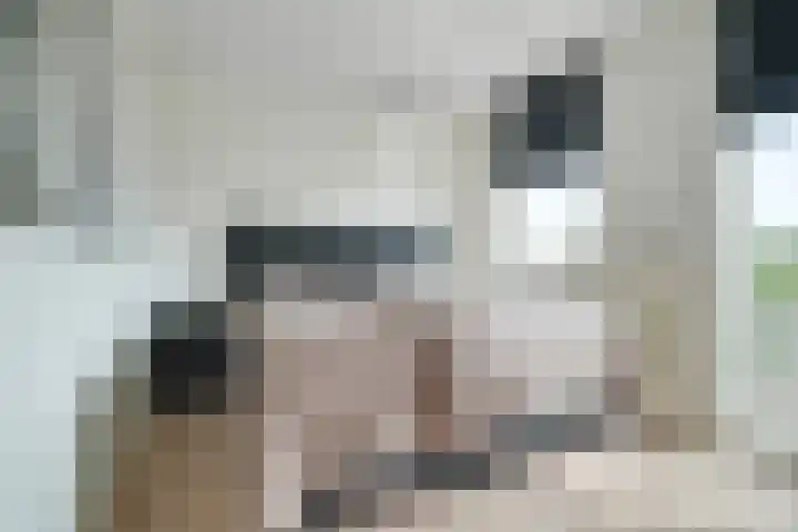 Valkenierslaan 240 Breda thumbnail 4