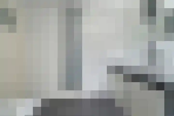 Valkenierslaan 240 Breda thumbnail 42