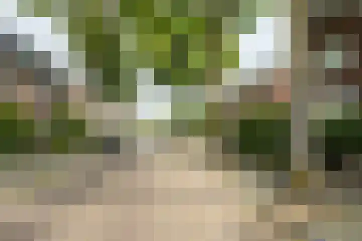 Valkenierslaan 240 Breda thumbnail 45