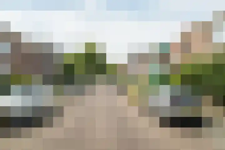 Valkenierslaan 240 Breda thumbnail 46
