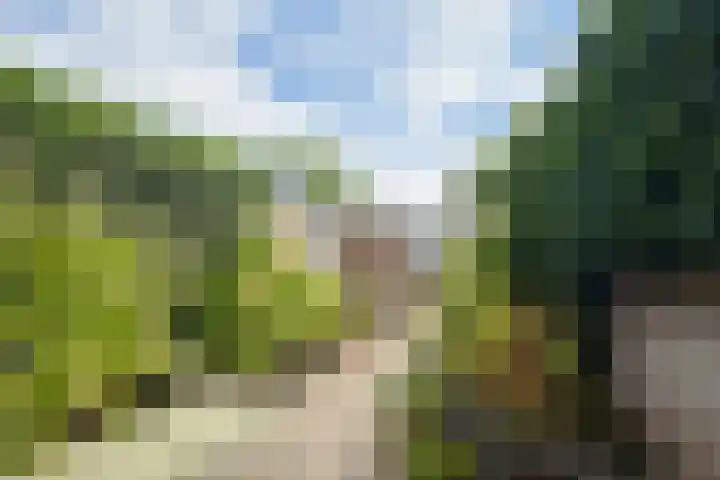 Valkenierslaan 240 Breda thumbnail 5