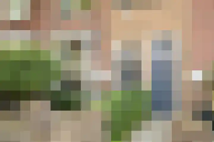 Valkenierslaan 240 Breda thumbnail 7