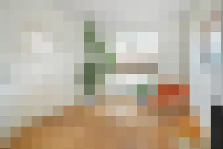 Valkenierslaan 240 Breda thumbnail 9