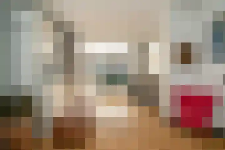 Valkenierslaan 244 Breda thumbnail 18