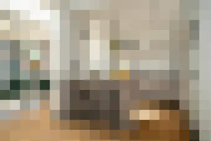 Valkenierslaan 244 Breda thumbnail 19