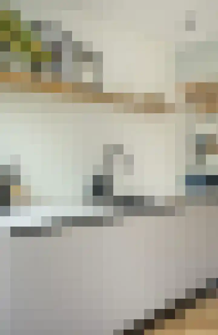 Valkenierslaan 244 Breda thumbnail 22