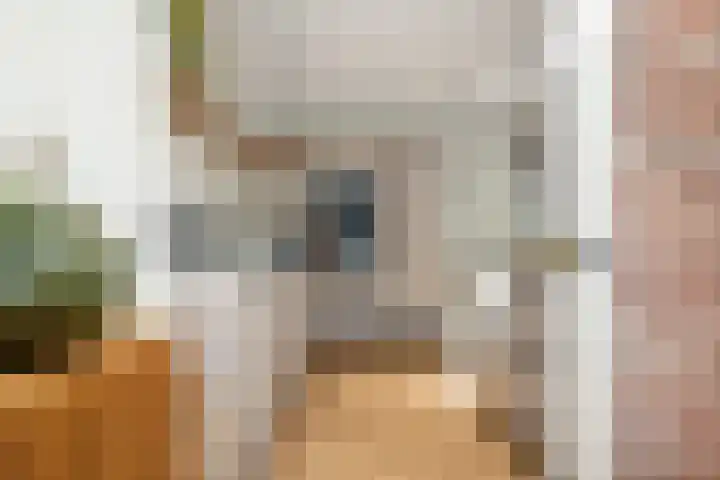Valkenierslaan 244 Breda thumbnail 24