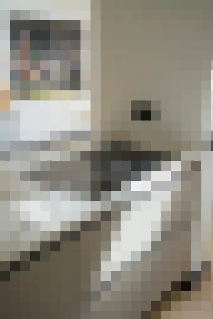 Valkenierslaan 244 Breda thumbnail 29