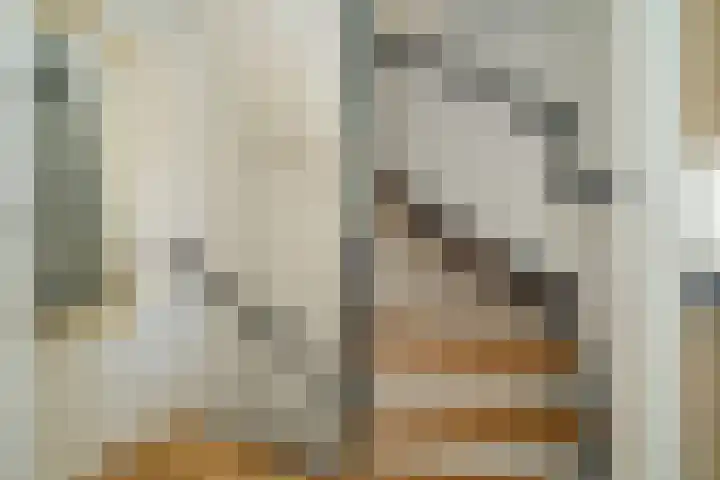 Valkenierslaan 244 Breda thumbnail 37