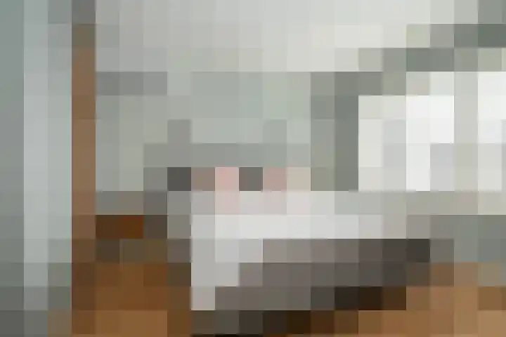 Valkenierslaan 244 Breda thumbnail 38
