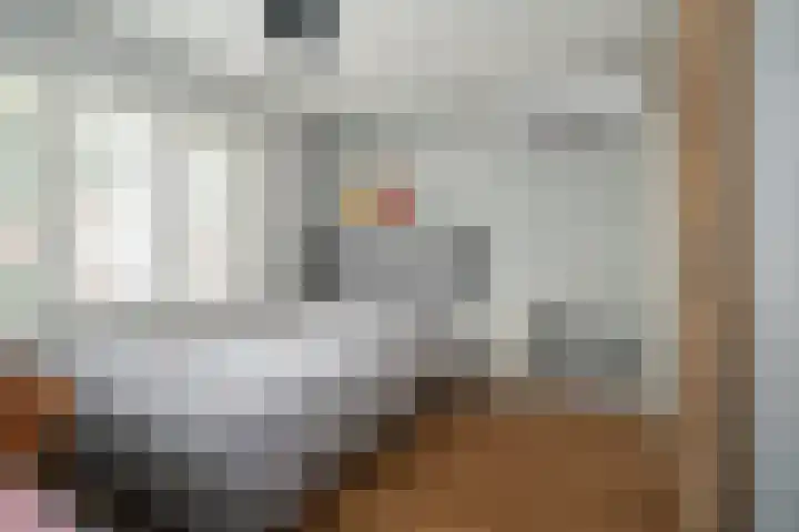Valkenierslaan 244 Breda thumbnail 42