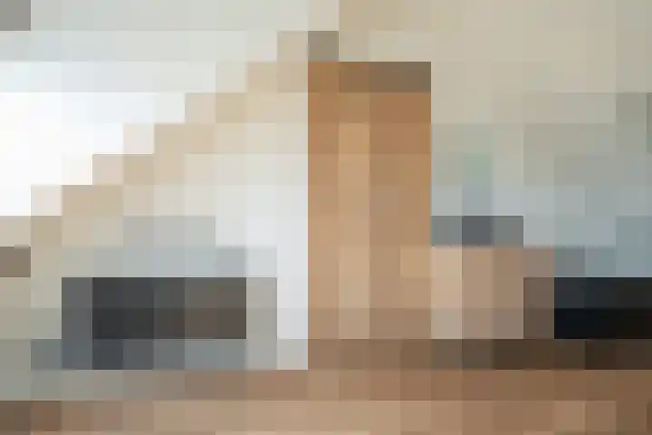 Valkenierslaan 244 Breda thumbnail 51