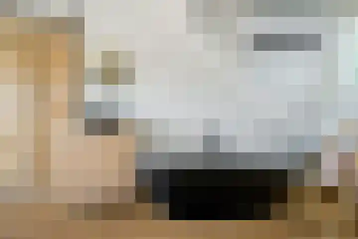 Valkenierslaan 244 Breda thumbnail 52