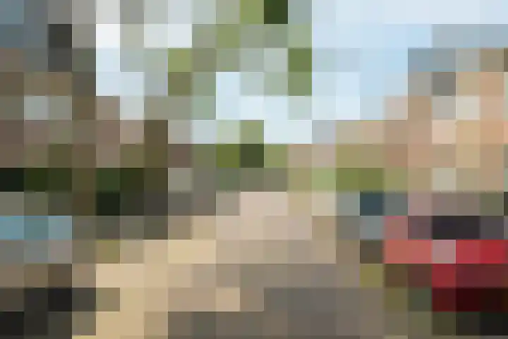 Valkenierslaan 244 Breda thumbnail 73
