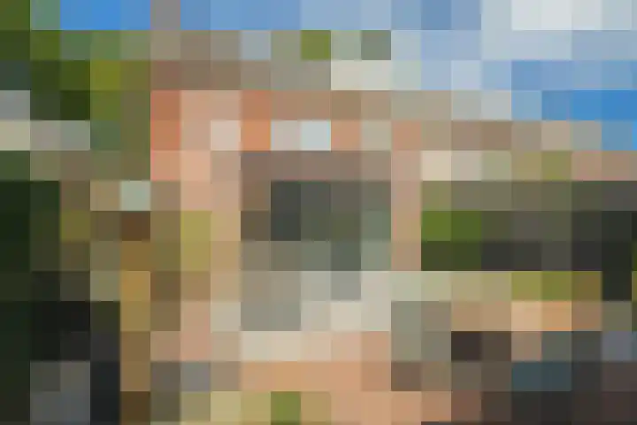 Valkenierslaan 244 Breda thumbnail 9