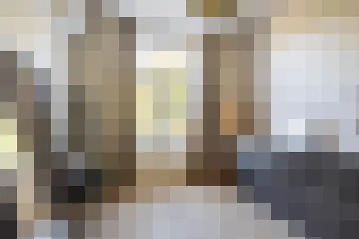 Valkenierslaan 259 Breda thumbnail 28