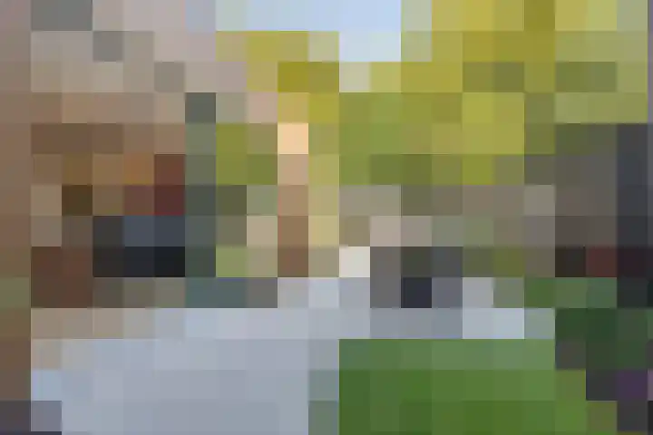 Valkenierslaan 259 Breda thumbnail 34