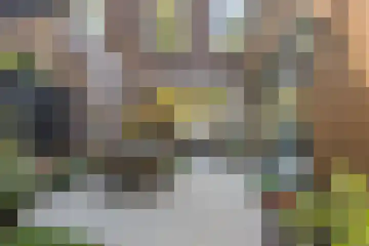 Valkenierslaan 259 Breda thumbnail 35