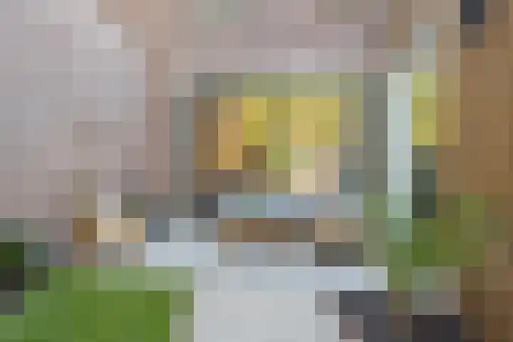 Valkenierslaan 259 Breda thumbnail 36