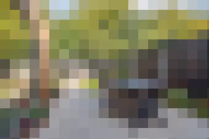 Valkenierslaan 259 Breda thumbnail 37