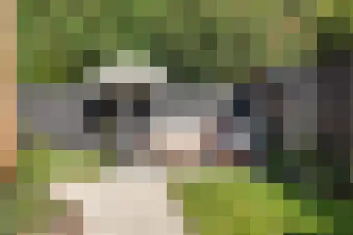 Valkenierslaan 259 Breda thumbnail 38