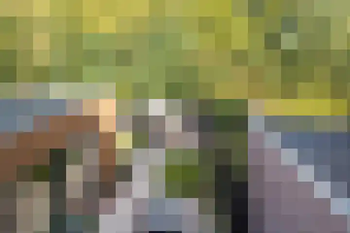 Valkenierslaan 259 Breda thumbnail 39