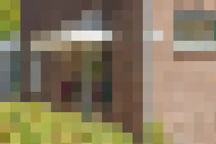 Valkenierslaan 259 Breda thumbnail 40