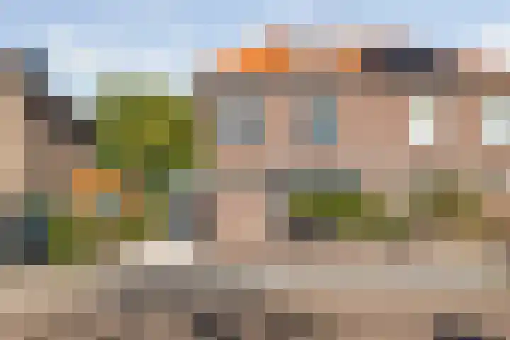 Valkenierslaan 259 Breda thumbnail 41
