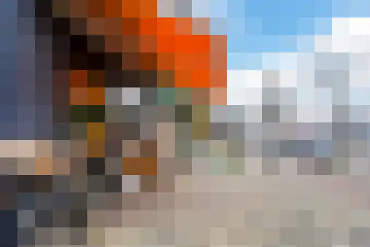 Valkenierslaan 259 Breda thumbnail 44