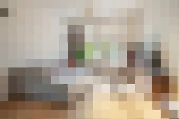 Valkenierslaan 259 Breda thumbnail 7