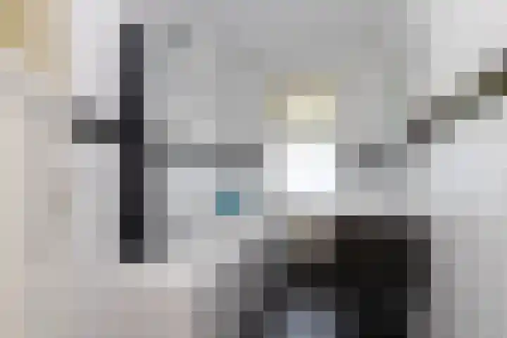 Valkenierslaan 267 Breda thumbnail 22