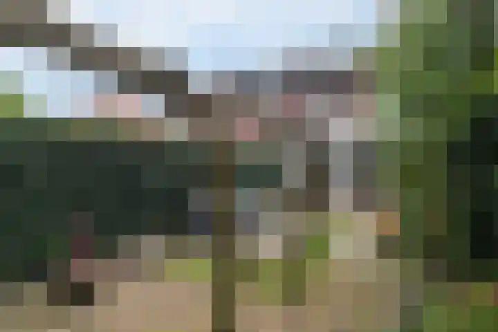 Valkenierslaan 267 Breda thumbnail 31