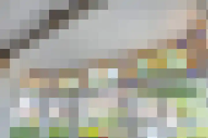 Valkenierslaan 268 Breda thumbnail 10